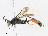  ( - CBG-A24278-B09)  @11 [ ] CreativeCommons - Attribution Share - Alike (2023) CBG Photography Group Centre for Biodiversity Genomics
