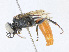  ( - CBG-A25885-H07)  @11 [ ] CreativeCommons - Attribution Share - Alike (2023) CBG Photography Group Centre for Biodiversity Genomics