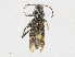  ( - CBG-A25886-G07)  @11 [ ] CreativeCommons - Attribution Share - Alike (2023) CBG Photography Group Centre for Biodiversity Genomics