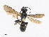  ( - CBG-A25886-H04)  @11 [ ] CreativeCommons - Attribution Share - Alike (2023) CBG Photography Group Centre for Biodiversity Genomics