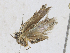  ( - CBG-A25887-H07)  @11 [ ] CreativeCommons - Attribution Share-Alike (2024) CBG Photography Group Centre for Biodiversity Genomics