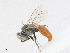  ( - CBG-A25909-F06)  @11 [ ] CreativeCommons - Attribution Share - Alike (2023) CBG Photography Group Centre for Biodiversity Genomics