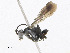  ( - CBG-A25917-H02)  @11 [ ] CreativeCommons - Attribution Share-Alike (2023) CBG Photography Group Centre for Biodiversity Genomics