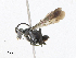  ( - CBG-A25917-H02)  @11 [ ] CreativeCommons - Attribution Share - Alike (2024) CBG Photography Group Centre for Biodiversity Genomics