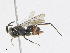  ( - CBG-A25919-B02)  @11 [ ] CreativeCommons - Attribution Share - Alike (2023) CBG Photography Group Centre for Biodiversity Genomics