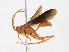  ( - CBG-A25919-C08)  @11 [ ] CreativeCommons - Attribution Share - Alike (2023) CBG Photography Group Centre for Biodiversity Genomics