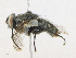  ( - CBG-A25919-E03)  @11 [ ] CreativeCommons - Attribution Share - Alike (2023) CBG Photography Group Centre for Biodiversity Genomics