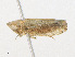  ( - CBG-A25919-G04)  @11 [ ] CreativeCommons - Attribution Share - Alike (2023) CBG Photography Group Centre for Biodiversity Genomics