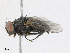  ( - CBG-A25925-C05)  @11 [ ] CreativeCommons - Attribution Share - Alike (2023) CBG Photography Group Centre for Biodiversity Genomics