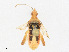  ( - CBG-A25933-A06)  @11 [ ] CreativeCommons - Attribution Share - Alike (2023) CBG Photography Group Centre for Biodiversity Genomics