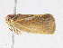  ( - CBG-A25933-F05)  @11 [ ] CreativeCommons - Attribution Share - Alike (2023) CBG Photography Group Centre for Biodiversity Genomics