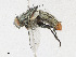  ( - CBG-A25941-F12)  @11 [ ] CreativeCommons - Attribution Share - Alike (2023) CBG Photography Group Centre for Biodiversity Genomics