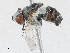  ( - CBG-A23384-A08)  @11 [ ] CreativeCommons - Attribution Share - Alike (2024) CBG Photography Group Centre for Biodiversity Genomics