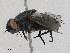  ( - CBG-A24265-A01)  @11 [ ] CreativeCommons - Attribution Share-Alike (2024) CBG Photography Group Centre for Biodiversity Genomics