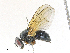  ( - CBG-A25889-G02)  @11 [ ] CreativeCommons - Attribution Share-Alike (2024) CBG Photography Group Centre for Biodiversity Genomics
