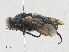  ( - CBG-A25896-C10)  @11 [ ] CreativeCommons - Attribution Share - Alike (2024) CBG Photography Group Centre for Biodiversity Genomics