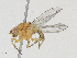  ( - CBG-A25896-F01)  @11 [ ] CreativeCommons - Attribution Share - Alike (2024) CBG Photography Group Centre for Biodiversity Genomics