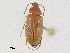  ( - CBG-A25898-B06)  @11 [ ] CreativeCommons - Attribution Share - Alike (2024) CBG Photography Group Centre for Biodiversity Genomics