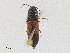  ( - CBG-A25898-B07)  @11 [ ] CreativeCommons - Attribution Share - Alike (2024) CBG Photography Group Centre for Biodiversity Genomics