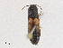  ( - CBG-A25898-C01)  @11 [ ] CreativeCommons - Attribution Share - Alike (2024) CBG Photography Group Centre for Biodiversity Genomics