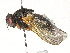  ( - CBG-A25912-A05)  @11 [ ] CreativeCommons - Attribution (2024) CBG Photography Group Centre for Biodiversity Genomics
