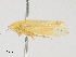  ( - CBG-A25929-F12)  @11 [ ] CreativeCommons - Attribution Share - Alike (2024) CBG Photography Group Centre for Biodiversity Genomics