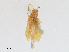  ( - CBG-A25929-G01)  @11 [ ] CreativeCommons - Attribution Share - Alike (2024) CBG Photography Group Centre for Biodiversity Genomics