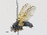  ( - CBG-A25931-B08)  @11 [ ] CreativeCommons - Attribution Share - Alike (2024) CBG Photography Group Centre for Biodiversity Genomics