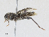  ( - CBG-A25931-C09)  @11 [ ] CreativeCommons - Attribution Share - Alike (2024) CBG Photography Group Centre for Biodiversity Genomics