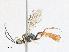  ( - CBG-A25931-G04)  @11 [ ] CreativeCommons - Attribution Share - Alike (2024) CBG Photography Group Centre for Biodiversity Genomics