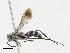  ( - CBG-A25935-F12)  @11 [ ] CreativeCommons - Attribution Share-Alike (2024) CBG Photography Group Centre for Biodiversity Genomics