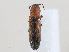  ( - CBG-A25945-B10)  @11 [ ] CreativeCommons - Attribution Share - Alike (2024) CBG Photography Group Centre for Biodiversity Genomics