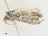  ( - CBG-A25948-E02)  @11 [ ] CreativeCommons - Attribution Share - Alike (2024) CBG Photography Group Centre for Biodiversity Genomics