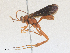  ( - CBG-A27509-G10)  @11 [ ] CreativeCommons - Attribution Share - Alike (2024) CBG Photography Group Centre for Biodiversity Genomics