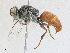  ( - CBG-A27512-D06)  @11 [ ] CreativeCommons - Attribution Share - Alike (2024) CBG Photography Group Centre for Biodiversity Genomics