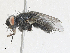  ( - CBG-A27545-C06)  @11 [ ] CreativeCommons - Attribution Share - Alike (2024) CBG Photography Group Centre for Biodiversity Genomics