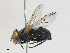  ( - CBG-A28469-F06)  @11 [ ] CreativeCommons - Attribution Share - Alike (2024) CBG Photography Group Centre for Biodiversity Genomics