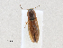  ( - CBG-A28472-F12)  @11 [ ] CreativeCommons - Attribution Share-Alike (2024) CBG Photography Group Centre for Biodiversity Genomics