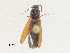  ( - CBG-A28472-G04)  @11 [ ] CreativeCommons - Attribution Share-Alike (2024) CBG Photography Group Centre for Biodiversity Genomics