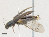  ( - CBG-A28472-G08)  @11 [ ] CreativeCommons - Attribution Share-Alike (2024) CBG Photography Group Centre for Biodiversity Genomics
