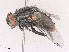  ( - CBG-A28473-C09)  @11 [ ] CreativeCommons - Attribution Share - Alike (2024) CBG Photography Group Centre for Biodiversity Genomics