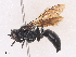  ( - CBG-A28473-E10)  @11 [ ] CreativeCommons - Attribution Share - Alike (2024) CBG Photography Group Centre for Biodiversity Genomics