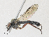  ( - CBG-A29999-C10)  @11 [ ] CreativeCommons - Attribution Share - Alike (2024) CBG Photography Group Centre for Biodiversity Genomics
