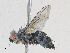  ( - CBG-A30000-F06)  @11 [ ] CreativeCommons - Attribution Share - Alike (2024) CBG Photography Group Centre for Biodiversity Genomics