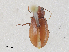  ( - CBG-A30002-E03)  @11 [ ] CreativeCommons - Attribution Share - Alike (2024) CBG Photography Group Centre for Biodiversity Genomics