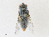  ( - CBG-A30014-B10)  @11 [ ] CreativeCommons - Attribution Share - Alike (2024) CBG Photography Group Centre for Biodiversity Genomics