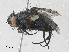  ( - CBG-A30046-C07)  @11 [ ] CreativeCommons - Attribution Share - Alike (2024) CBG Photography Group Centre for Biodiversity Genomics