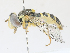  ( - CBG-A30046-G11)  @11 [ ] CreativeCommons - Attribution Share - Alike (2024) CBG Photography Group Centre for Biodiversity Genomics