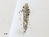 ( - CBG-A30047-A08)  @11 [ ] CreativeCommons - Attribution Share - Alike (2024) CBG Photography Group Centre for Biodiversity Genomics