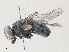 ( - CBG-A30049-G10)  @11 [ ] CreativeCommons - Attribution Share - Alike (2024) CBG Photography Group Centre for Biodiversity Genomics